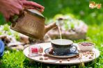 Вдъхновението  COCONUT  в Банско