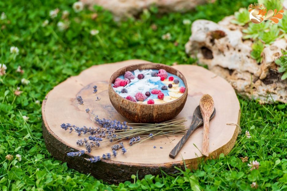 Вдъхновението  COCONUT  в Банско