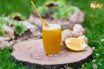 Вдъхновението  COCONUT  в Банско