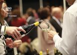 DiVino Taste 2017