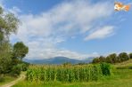 Фермата близо до нас