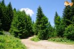Перфектен крем карамел