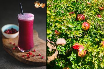 Всичко за сока от нар