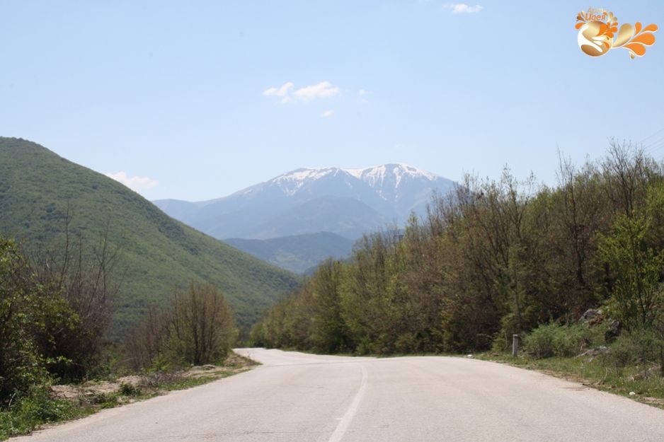 Омайна закуска на тревата