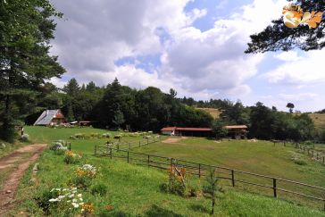 Конна база Периволас село Бачево