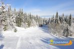 Добринище- планината те зове!