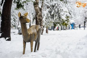 Зимен спомен в Разлог