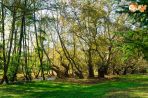 Самуилова крепост