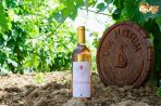 Ресторант и енотека Uva Nestum