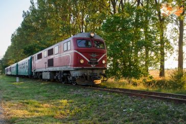 Теснолинейката Добринище-Септември